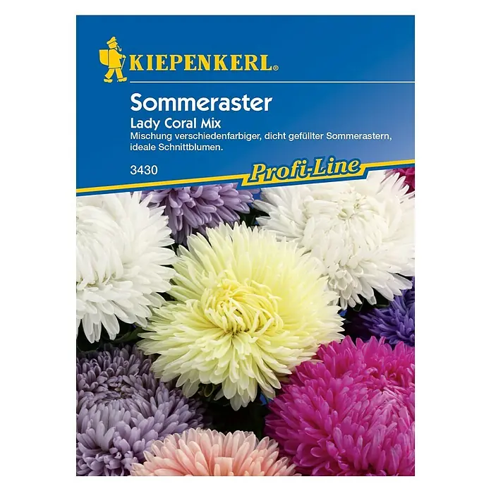 Kiepenkerl Blumensamen Sommeraster - Callistephus chinensis, Lady Coral Mix, Blütezeit: August - Vorderansicht