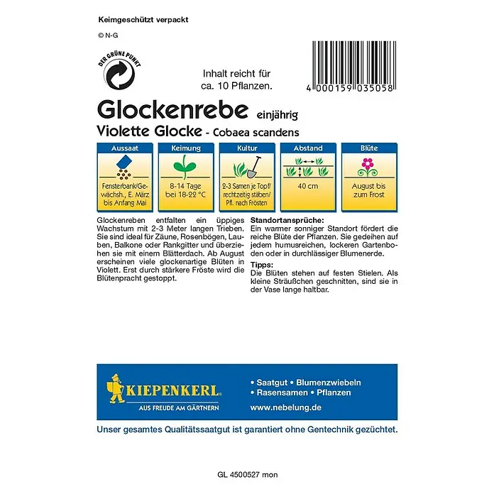 Kiepenkerl Blumensamen Glockenrebe - Cobaea scandens, Lila - Rückansicht