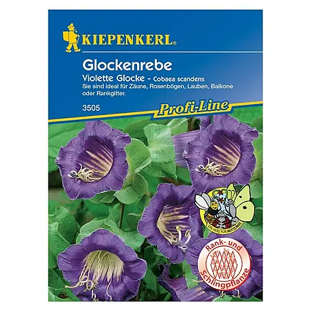 Kiepenkerl  Blumensamen Glockenrebe
