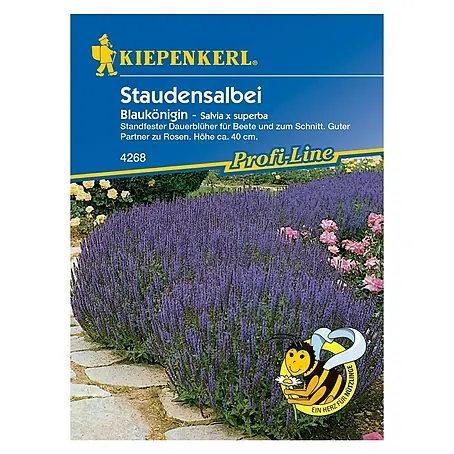 Kiepenkerl Profi-Line Blumensamen Staudensalbei Blaukönigin