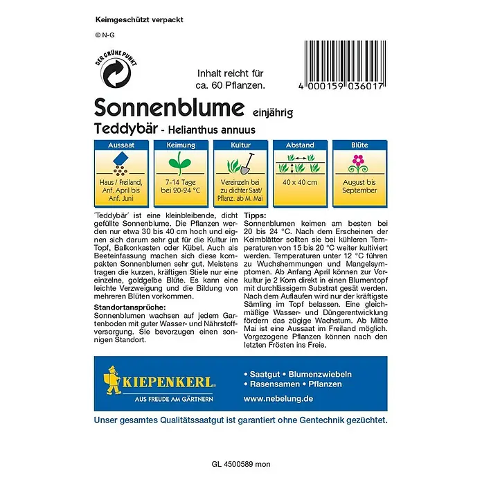 Kiepenkerl Blumensamen Sonnenblume - Helianthus annuus, Teddybär, Blütezeit: August - Rückansicht