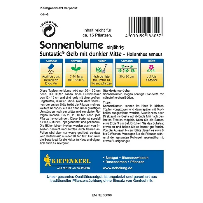 Kiepenkerl Blumensamen Sonnenblume - Helianthus annuus, Suntastic, Blütezeit: Juli - Rückansicht