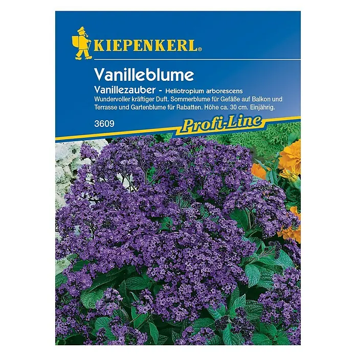 Kiepenkerl Profi-Line Blumensamen Vanilleblume - Heliotropium arborescens, Lila - Vorderansicht