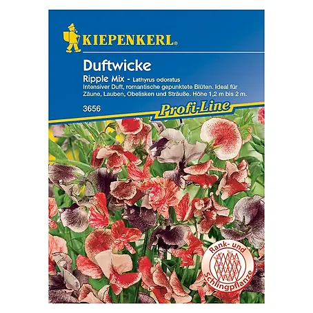 Kiepenkerl  Blumensamen Duftwicke