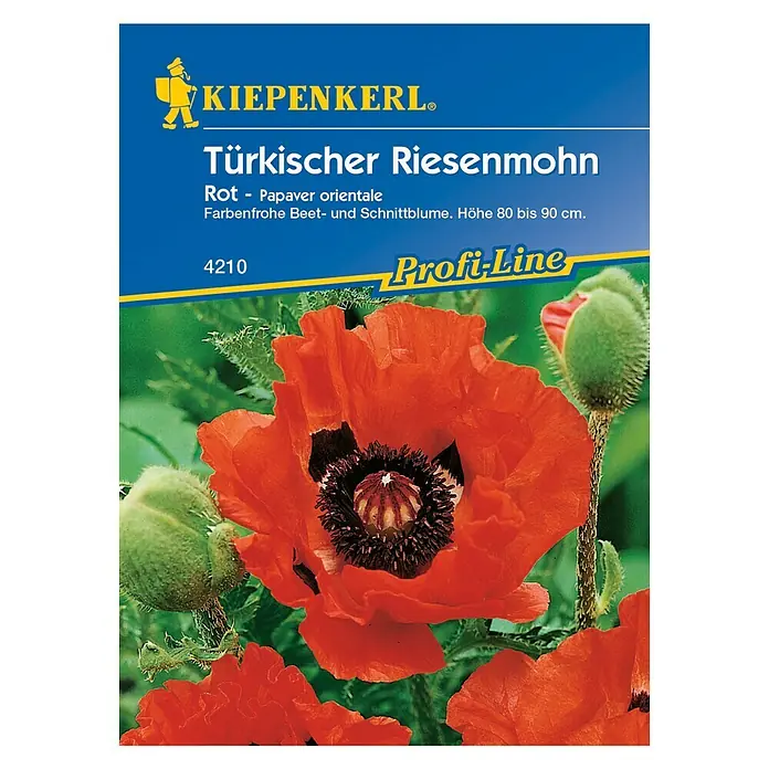 Kiepenkerl Profi-Line Blumensamen Türkischer Riesemohn - Papaver orientale, Rot - Vorderansicht