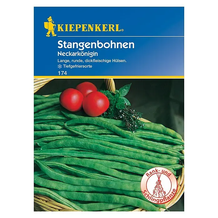 Kiepenkerl Gemüsesamen Stangenbohne - Neckarkönigin, Phaseolus vulgaris var. vulgaris, Erntezeit: Juli - Vorderansicht