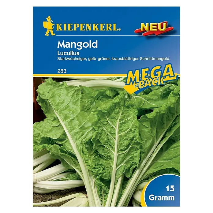 Kiepenkerl Gemüsesamen Mangold Lukullus - Beta vulgaris var. vulgaris, Erntezeit: Mai, 15 g - Vorderansicht