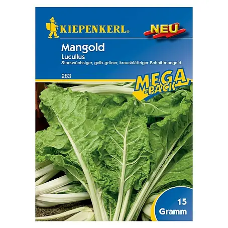 Kiepenkerl  Gemüsesamen Mangold Lukullus