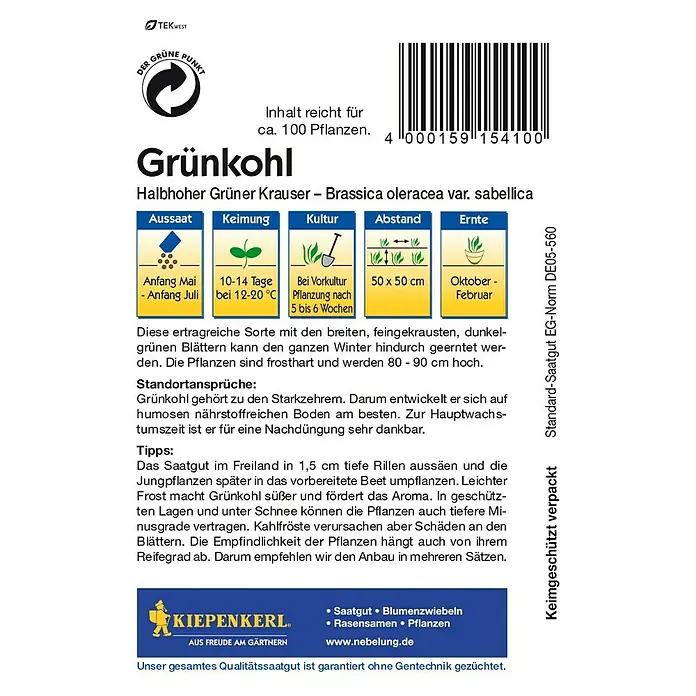 Kiepenkerl Gemüsesamen Grünkohl Halbhoher Grüner Krauser - Brassica oleracea var. sabellica, Erntezeit: Oktober - Rückansicht