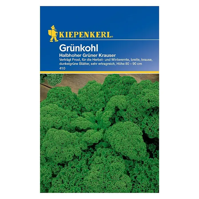 Kiepenkerl Gemüsesamen Grünkohl Halbhoher Grüner Krauser - Brassica oleracea var. sabellica, Erntezeit: Oktober - Vorderansicht