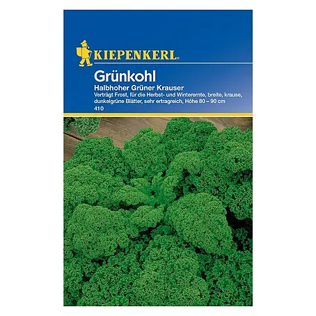 Kiepenkerl  Gemüsesamen Grünkohl Halbhoher Grüner Krauser