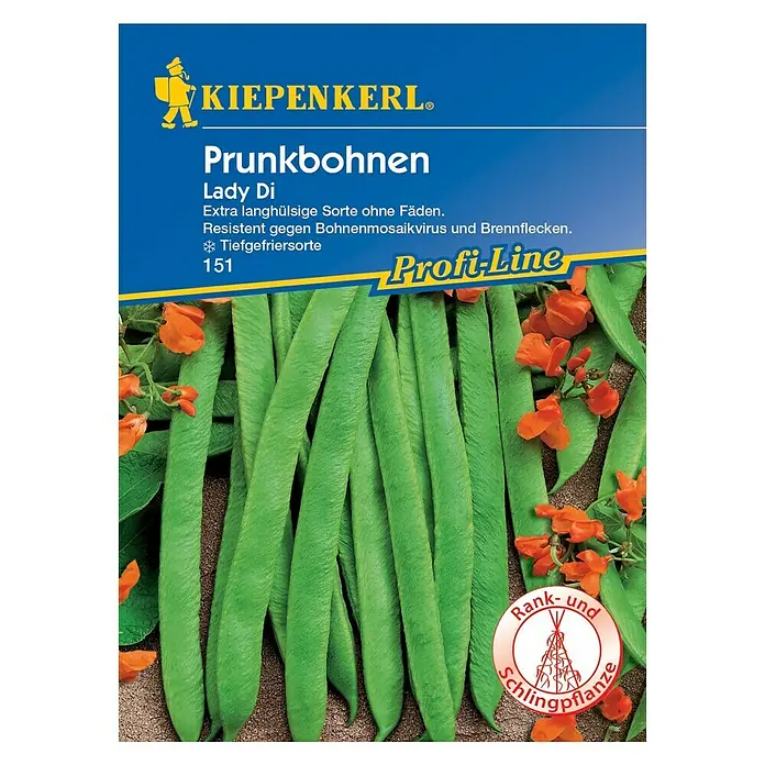 Kiepenkerl Profi-Line Gemüsesamen Prunkbohne - Lady Di, Phaseolus coccineus, Erntezeit: Juli - Vorderansicht
