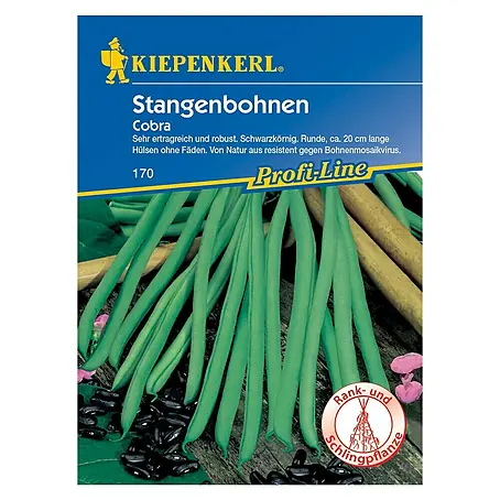 Kiepenkerl Profi-Line Gemüsesamen Stangenbohne