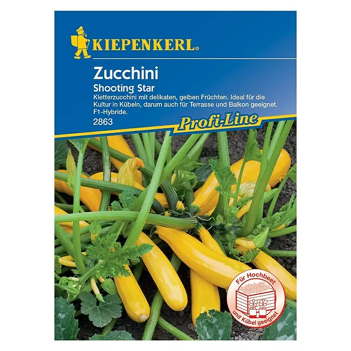Kiepenkerl Profi-Line Gemüsesamen Zucchini - Shooting Star, Cucurbita pepo, Erntezeit: Juli - Vorderansicht
