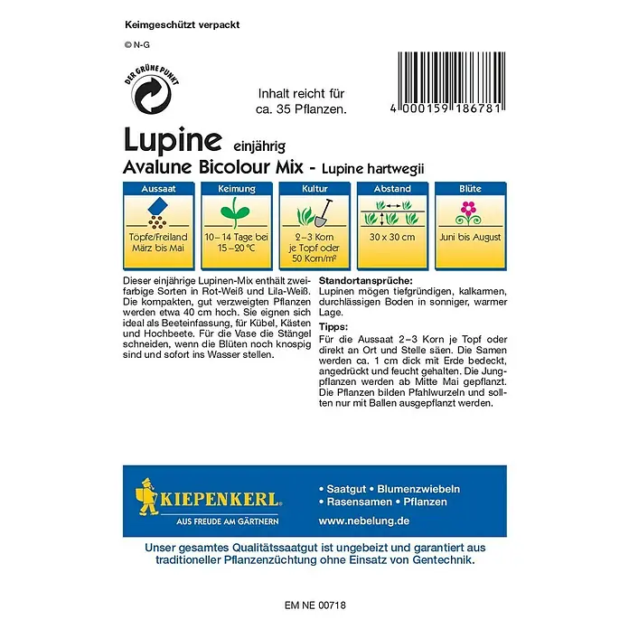 Kiepenkerl Blumensamen Lupine Avalune Bicolour Mix - Lupinus hartwegii, Mehrfarbig - Rückansicht