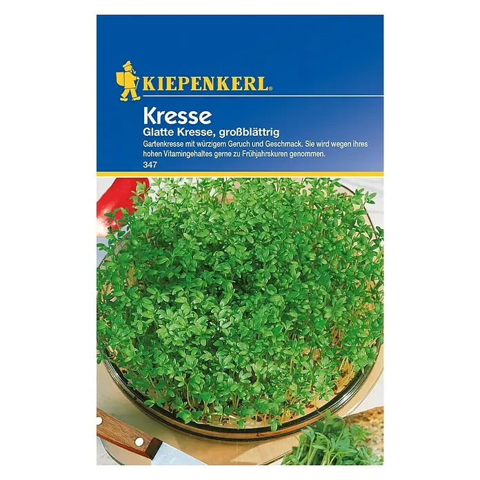 Kiepenkerl Kräutersamen - Lepidium sativum, Glatte Kresse, Erntezeit: Ganzjährig - Vorderansicht