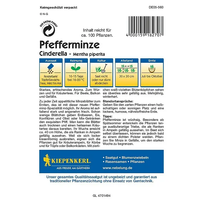 Kiepenkerl Profi-Line Kräutersamen Pfefferminze - Cinderella, Mentha piperita, Erntezeit: Juli - Rückansicht
