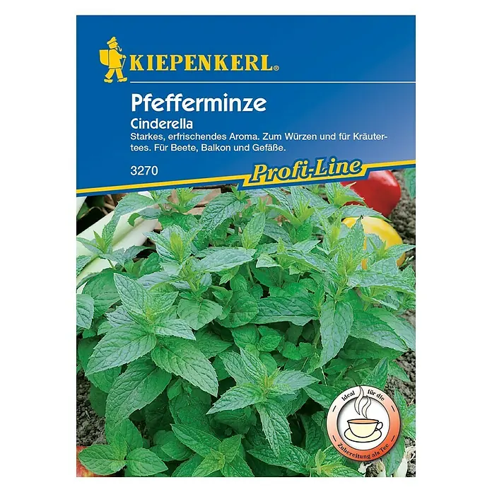 Kiepenkerl Profi-Line Kräutersamen Pfefferminze - Cinderella, Mentha piperita, Erntezeit: Juli - Vorderansicht