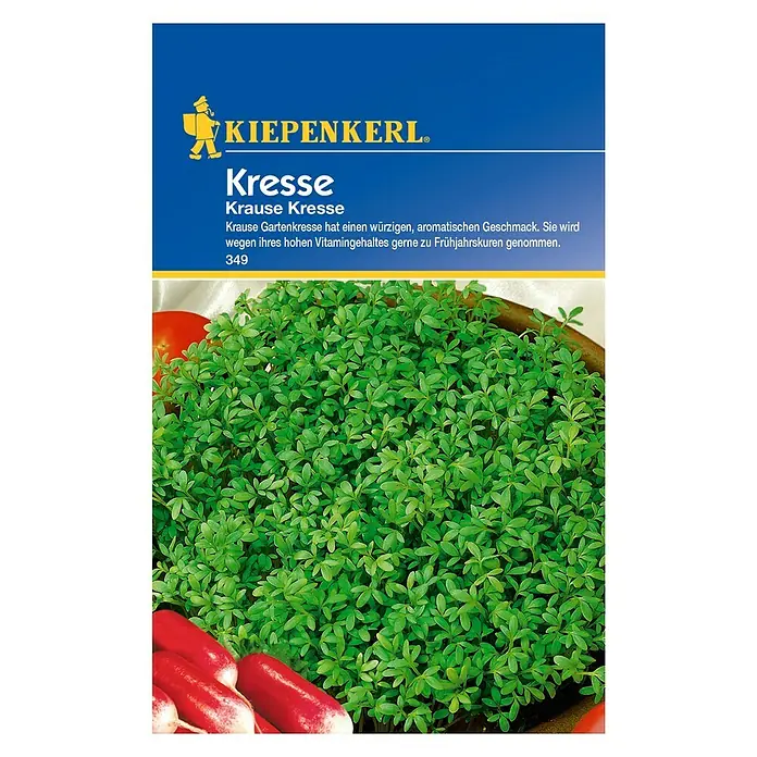 Kiepenkerl Kräutersamen - Lepidium sativum, Krause Kresse, Erntezeit: Ganzjährig - Vorderansicht