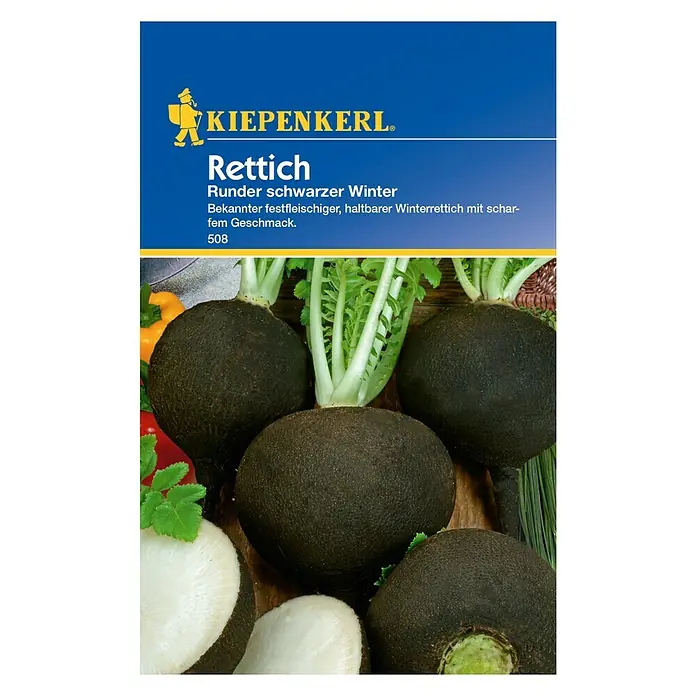 Kiepenkerl Gemüsesamen Rettich - Raphanus sativus, Runder schwarzer Winter - Vorderansicht