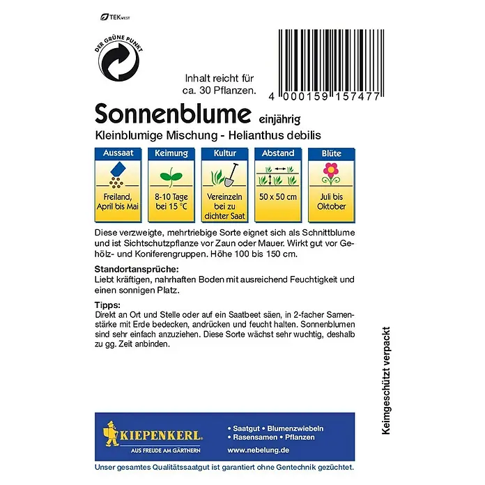 Kiepenkerl Blumensamen Sonnenblume - Kleinblumige Gelbtöne, Helianthus debilis, Mehrfarbig - Rückansicht