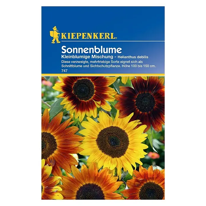 Kiepenkerl Blumensamen Sonnenblume - Kleinblumige Gelbtöne, Helianthus debilis, Mehrfarbig - Vorderansicht