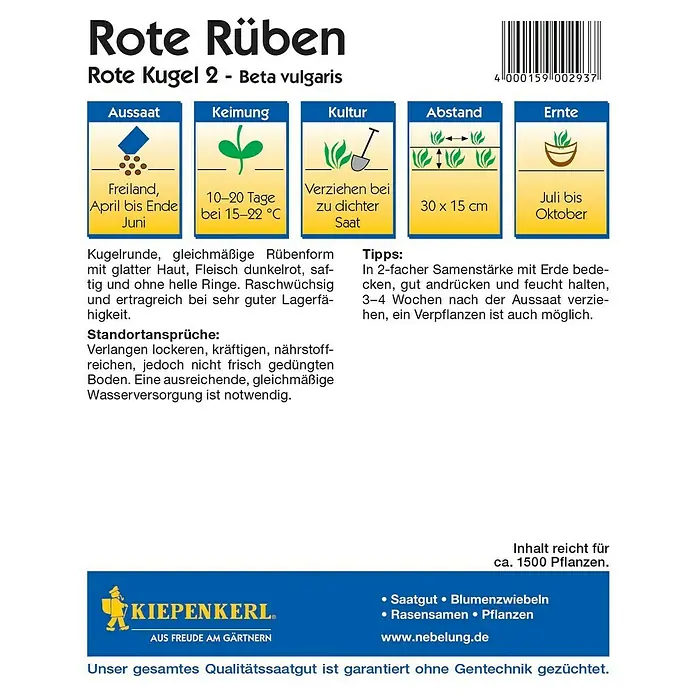 Kiepenkerl Gemüsesamen Rote Bete Rote Kugel - Beta vulgaris, Erntezeit: Juli - Rückansicht