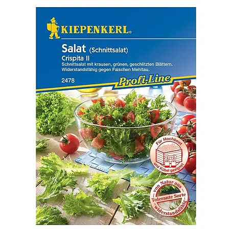 Kiepenkerl Profi-Line Salatsamen Crispita II