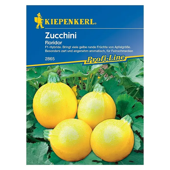 Kiepenkerl Profi-Line Gemüsesamen Zucchini - Floridor, Cucurbita pepo, Erntezeit: Juli - Vorderansicht