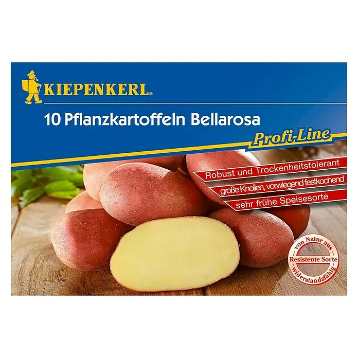 Kiepenkerl Profi-Line Sjemenski krumpir - 10 Kom. - Pogled sprijeda