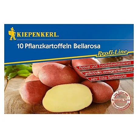 Kiepenkerl Profi-Line Sjemenski krumpir
