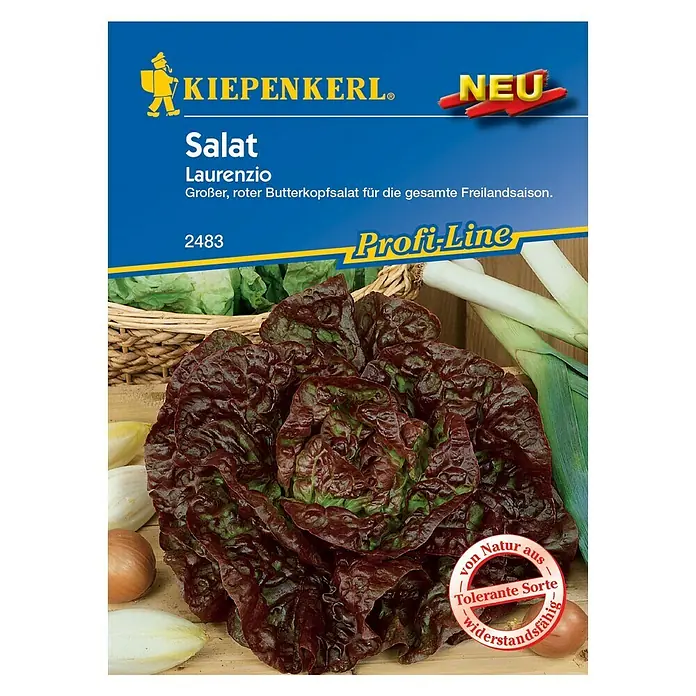 Kiepenkerl Profi-Line Salatsamen Laurenzio - Lactuca sativa var. capitata, Erntezeit: Juni - Vorderansicht