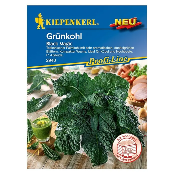Kiepenkerl Profi-Line Gemüsesamen Grünkohl Black Magic - Brassica oleracea var. sabellica, Erntezeit: Juni - Vorderansicht