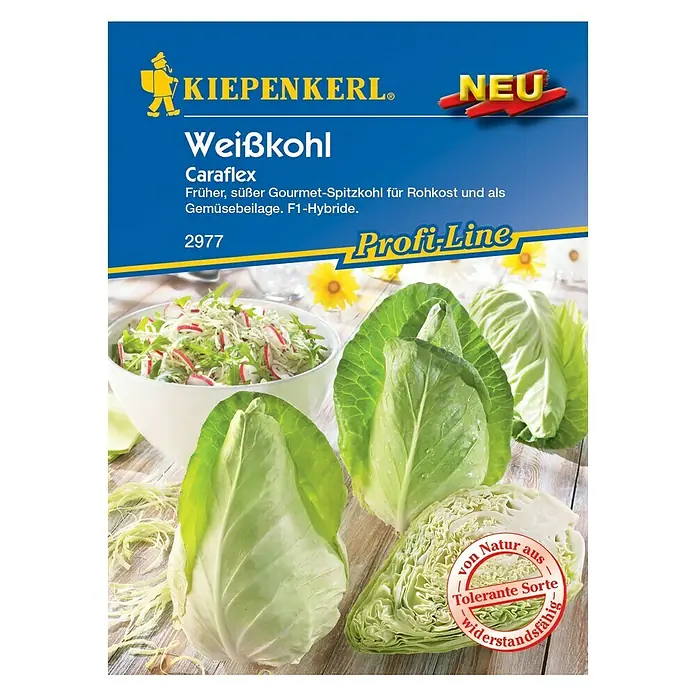 Kiepenkerl Profi-Line Gemüsesamen Spitzkohl Caraflex - Brassica oleracea var. capitata f. alba, Erntezeit: Juni - Vorderansicht