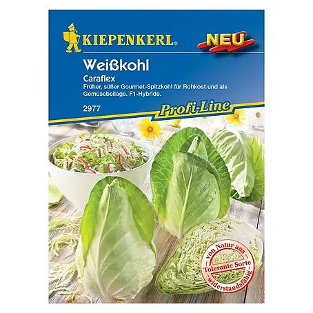 Kiepenkerl Profi-Line Gemüsesamen Spitzkohl Caraflex