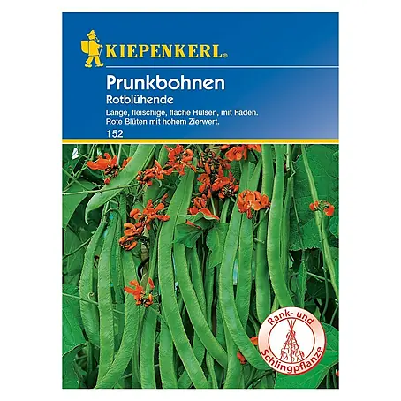Kiepenkerl  Gemüsesamen Prunkbohne Rotblühend