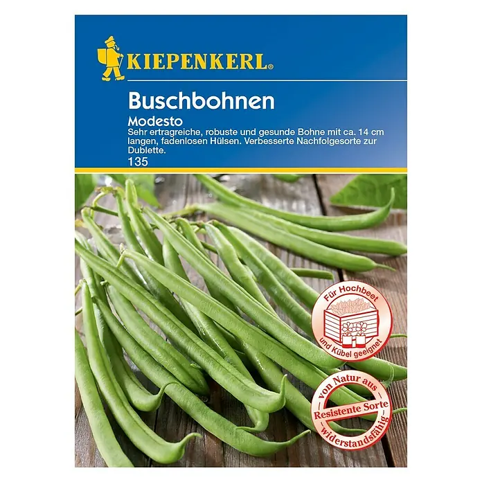 Kiepenkerl Gemüsesamen Buschbohne - Modesto, Phaseolus vulgaris, Erntezeit: Juli - Vorderansicht