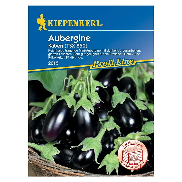 Kiepenkerl Profi-Line Gemüsesamen Aubergine Kaberi - Solanum melongena, Erntezeit: August - Vorderansicht
