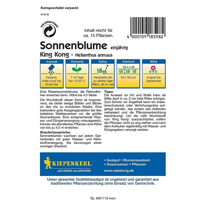 Kiepenkerl Blumensamen Sonnenblume - Helianthus annuus, King Kong, Blütezeit: August - Rückansicht