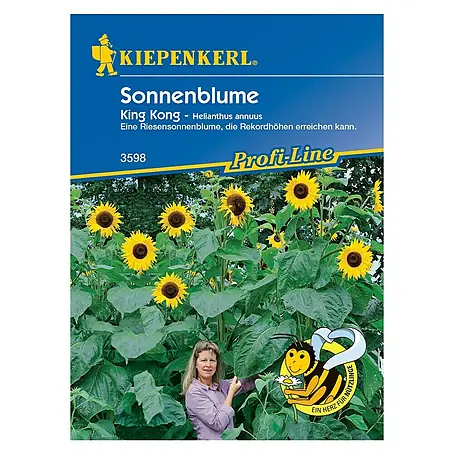 Kiepenkerl  Blumensamen Sonnenblume