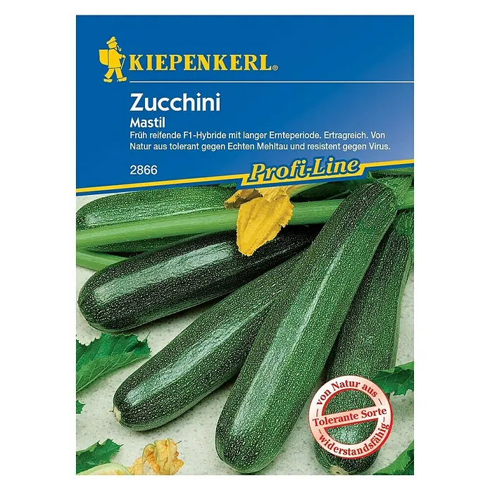 Kiepenkerl Profi-Line Gemüsesamen Zucchini - Mastil, Cucurbita pepo, Erntezeit: Juli - Vorderansicht