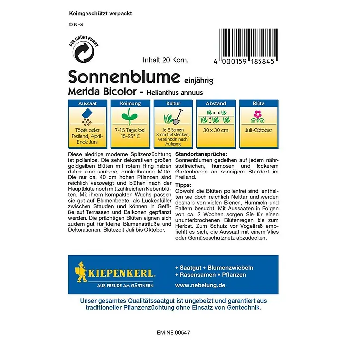 Kiepenkerl Profi-Line Blumensamen Sonnenblume - Helianthus annuus, Merida Bicolor, Blütezeit: Juli - Rückansicht