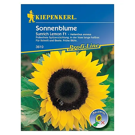 Kiepenkerl Profi-Line Blumensamen Sonnenblume