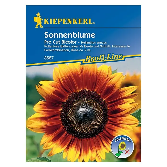 Kiepenkerl Profi-Line Blumensamen Sonnenblume - Helianthus annuus, Pro Cut Bicolor, Blütezeit: Juli - Vorderansicht