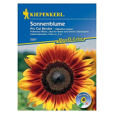 Kiepenkerl  Blumensamen Sonnenblume
