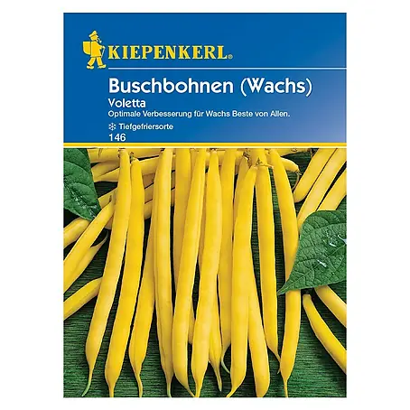 Kiepenkerl  Gemüsesamen Buschbohne