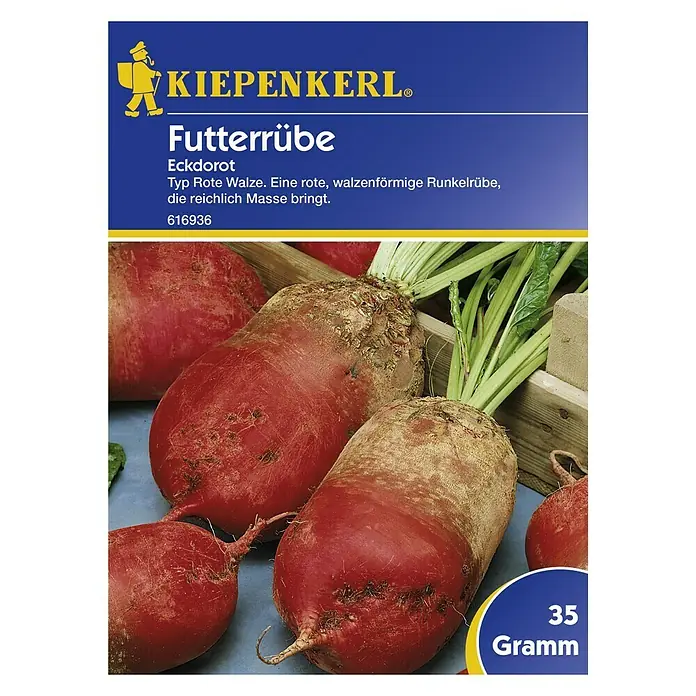 Kiepenkerl Saatgut Futterrübe - Eckdorot, 35 g - Vorderansicht