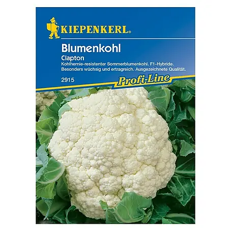 Kiepenkerl Profi-Line Gemüsesamen Blumenkohl