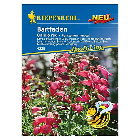 Kiepenkerl  Blumensamen Bartfaden Carillo Red