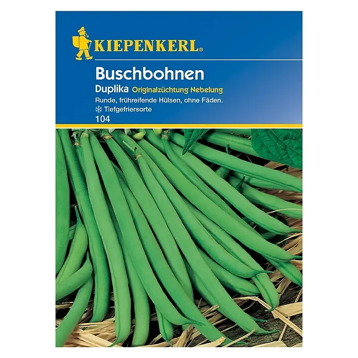 Kiepenkerl Gemüsesamen Buschbohne - Duplika, Phaseolus vulgaris var. nanus, Erntezeit: Juli - Vorderansicht